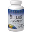 Mullein Lung Complex, Botanical Support, 90 Tabs, Planetary Herbals Hot on Sale