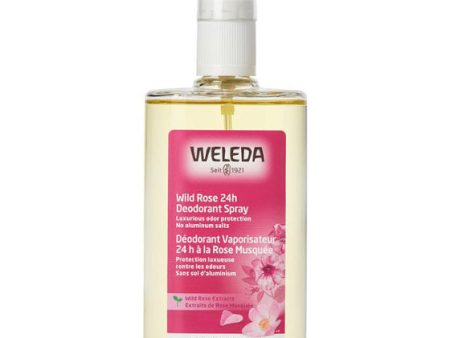 Weleda Wild Rose 24h Deodorant Spray, 3.4 oz Online now