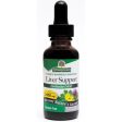 Liver Support Herbal Extract Liquid Alcohol-Free, 1 oz, Nature s Answer Online Hot Sale