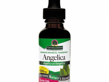 Angelica Root Extract Liquid 1 oz from Nature s Answer For Cheap