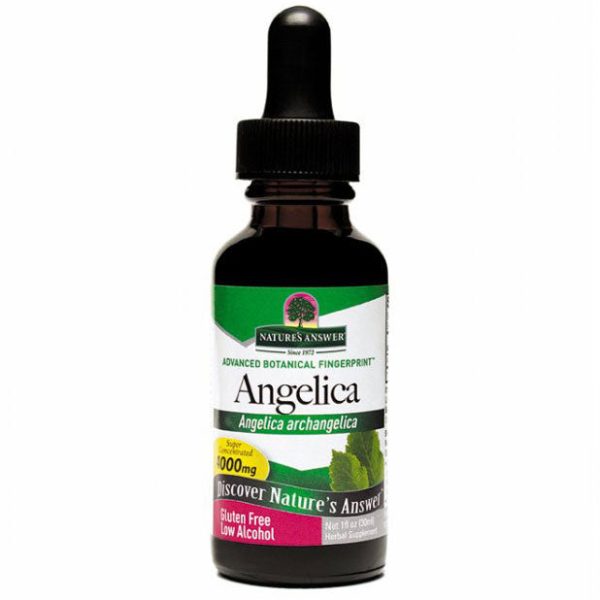 Angelica Root Extract Liquid 1 oz from Nature s Answer For Cheap