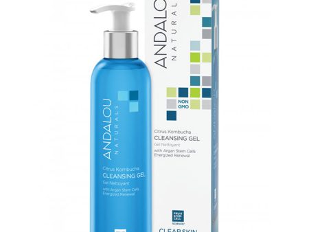 Citrus Kombucha Cleansing Gel, 6 oz, Andalou Naturals Cheap