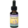 Valerian Super Calm Alcohol-Free 1 oz from Herbs For Kids For Cheap