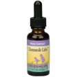 Chamomile Calm 2 oz from Herbs For Kids Online