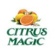 Pet Solid Air Freshener, Fresh Citrus, 20 oz, Citrus Magic Fashion