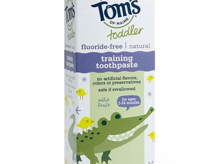 Toddler Training Toothpaste - Mild Fruit Gel, Fluoride Free, 1.75 oz, Tom s of Maine Online