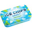 Ice Chips Spearmint Xylitol Mints, 1.76 oz (50 g) Online Hot Sale