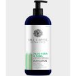 Aloe Vera & PABA Lotion, 14 oz, Mill Creek Botanicals Discount