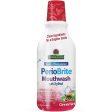 PerioBrite Natural Mouthwash - Cinnamint, 16 oz, Nature s Answer Cheap