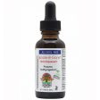 Bubble-B-Gone (For Kids Digestion Health) 1 oz liquid from Nature s Answer on Sale