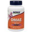 DMAE 250 mg, 100 Vegetarian Capsules, NOW Foods Cheap