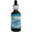 Ultra Concentrated 15:1 Liquid Chlorophyll with Dropper, 2 oz, World Organic Supply