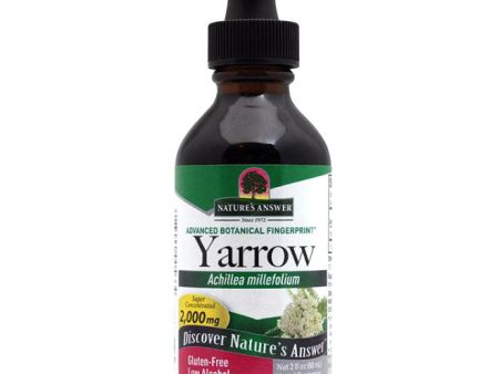 Yarrow Flowers Extract, 2 oz, Nature s Answer on Sale