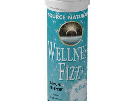 Wellness Fizz Wafer Effervescent, Multi-Vitamins & Herbs, 10 Wafers, Source Naturals For Sale