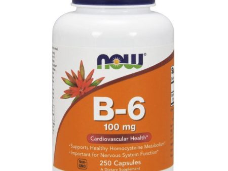 Vitamin B-6 (Vitamin B6) 100mg 250 Caps, NOW Foods Fashion