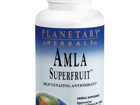 Amla Super Fruit 500 mg, Value Size, 240 Tablets, Planetary Herbals For Sale